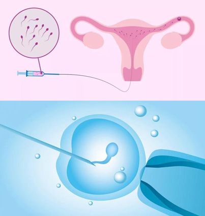 苏雨桐 副主任医师
